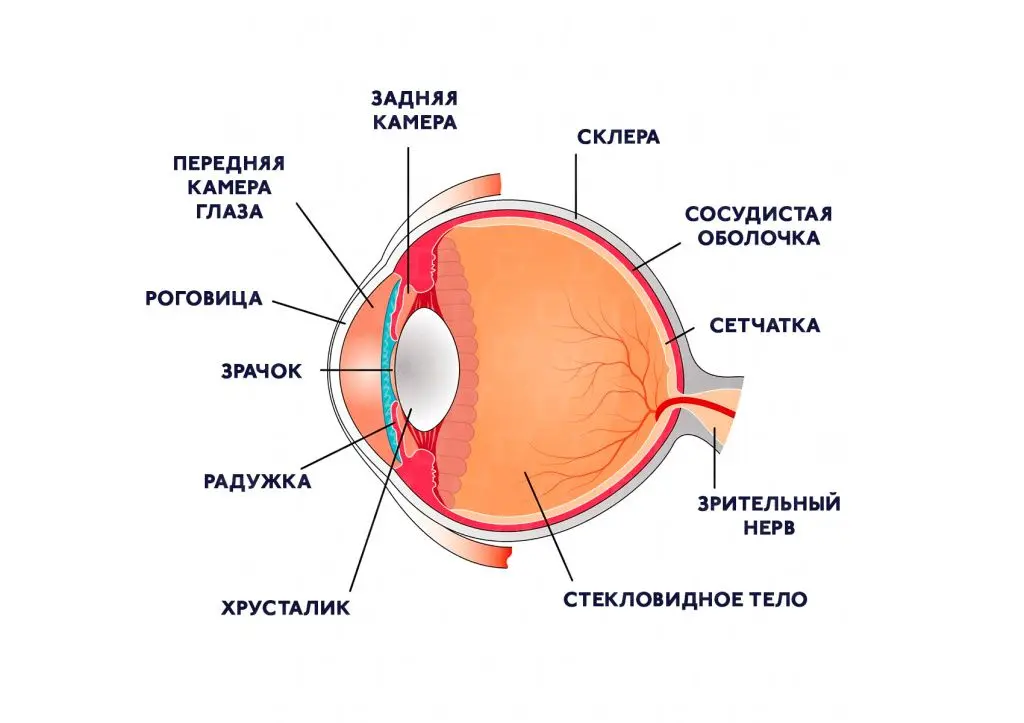 рет-2.jpg